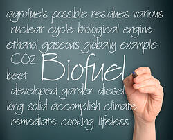 Chalkboard image with the focus on Biofuel Chalkboard image with the focus on Biofuel