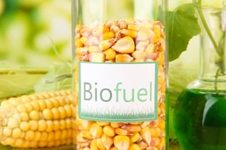 Corn kernels in a container labeled, Biofuel